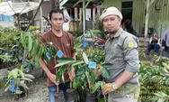 Kementerian Pertanian Bangun Kampung Hortikultura di Luwu Utara, Ini Lokasinya