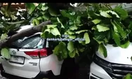 Kendaraan Rusak Tertimpa Pohon Tumbang di Bogor Bakal Diperbaiki Pemkot, Begini Syarat dan Ketentuannya