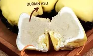 Bogor Musim Durian, Ini Wisata Kuliner Tempat Makan Durian di Bogor yang Murah