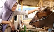 Beri Daging Qurban kepada Non Muslim Apa Boleh?Penjelasan Selengkapnya Disini!