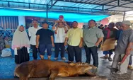 Pimpinan Ranting Muhammadiyah Padang Bulan Sembelih 7 Ekor Sapi dan 3 Ekor Kambing