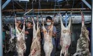 Peringatan untuk wanita hamil. Jangan konsumsi daging kambing berlebihan, ini lho akibatnya