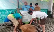 Keluarga Besar DR Rahmat Shah Sembelih Hewan Qurban di Taman Hewan Siantar