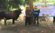 PLTU Batang PT BPI Sumbangkan Hewan Kurban kepada 12 Desa di Sekitarnya
