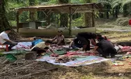 Rayakan Idul Adha 1444 H, Ketua SOKSI Depicab Deli Sedang Bagikan Daging Qurban