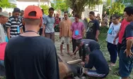 Rusunawa Kayu Putih Sembelih Hewan Kurban Dibagikan ke Masyarakat
