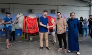 MS Glow salurkan 50.000 Kg daging kurban, Gilang Juragan 99: Idul Adha mengajarkan pentingnya berbagi   