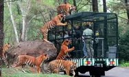 8 Tips Rahasia Tetap Aman di Taman Safari Bogor! Wisata Keluarga Populer