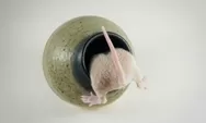 10 Kebiasaan Ini Dapat Mengundang Tikus Masuk Rumah