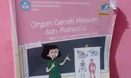 Kunci Jawaban Tema 1 Kelas 5 SD Halaman 4, Ide Pokok Organ Gerak Hewan dan Manusia