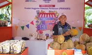 Program Desa BRIlian BRI Perkuat Potensi Ekonomi ‘Kampung Durian’