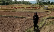 Tompo Bulu di Sulawesi Selatan Dipenuhi Pesona Alam Indah, Desa Wisata yang Dicari di Masa Depan