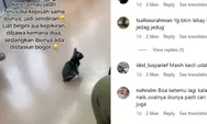 Viral Anak Kucing Terbawa KRL Usai Tak Sengaja Masuk Gerbong, Netizen Sedih: Ibunya di Stasiun Bogor