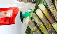 Pertamina akan luncurkan Pertamax Green 95 dari Tetes Tebu, Madani sambut baik