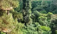 Bogor Treetop Zipline Adventure, Wahana Pemacu Andrenaline Sepanjang 2,1 Km: Berani Coba?
