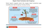 Bagian Mana dari Tumbuhan yang Berperan untuk Berkembang Biak? Referensi Kunci Jawaban IPAS Kelas 4 SD