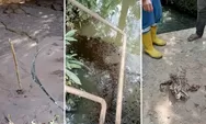 Aliran Sungai Sedupi Tercemar Limbah Minyak, Begini Tanggapan PT. Pertamina Hulu Rokan Zona 4 Field Prabumulih