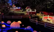Tempat Wisata Bogor Dairyland Riverside, Nikmati Suasana Hutan Menyala Cocok untuk Pacaran Bareng Ayang