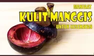 4 Manfaat Kulit Manggis untuk Kesehatan, Diantaranya Bisa Meningkatkan Imun dan Cegah Kanker