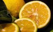 6 Manfaat Luar Biasa Buah Lemon, Cocok Untuk Kesehatan, Tepat Buat Kecantikan yang Alami