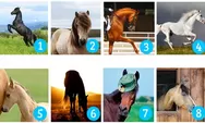 Tes kepribadian: Pilih seekor kuda untuk ungkap apa prioritas tertinggi dalam hidup
