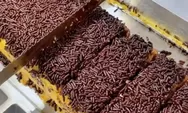 Hanya 5 Menit dari Sekolah Kesatuan Bogor, Ada Kue Pukis Viral Yogyakarta Topping Melimpah Bikin Ngiler