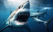 7 Fakta tentang ikan hiu Megalodon, hiu purba ukuran terbesar di dunia yang diduga masih hidup