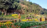 3 Destinasi Wisata Malang dengan Konsep Taman Bunga Kekinian dan Populer, Cocok untuk Healing