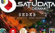 Berisi Ratusan Ribu Informasi, Portal Satu Data Demak Terintegrasi di Pemerintah Pusat
