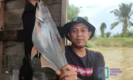 Inilah Lokasi Mancing Ikan Babon di Sungai Kampar Pelalawan Riau