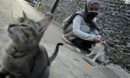 Tips Merawat Kucing Lokal menurut Dokter Hewan, Ini Daftar Klinik Dokter Hewan di Bandung