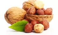 Penuh Gizi dan Rendah Kalori,  Ini 10 Manfaat Kacang Hazelnut bagi Tubuh
