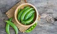 Penting Diketahui! 6 Manfaat Tersembunyi Kacang Kapri Untuk Kesehatan Tubuh