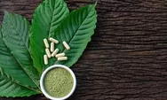 Menuju Masa Depan Tata Kelola Niaga Kratom, Moeldoko Dorong BRIN Riset Komprehensif