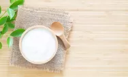 Peneliti Yakini Yogurt Membantu Lawan Flu