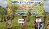 Usai Panen Raya, Petani di Gunungkidul Bersiap Tanam Padi