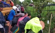 Pohon Tumbang Timpa Rumah Warga di Sleman
