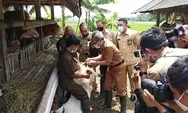 Ini Langkah Pemkab Bantul Dorong Swasembada Daging 2026