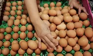 Permintaan Berkurang, Harga Telur Ayam di Gunungkidul Anjlok