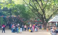Semarang Zoo Tambah Daya Tarik dengan Unta dan Singa Jantan