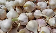 Alasan Orang Kurang Suka Bau Bawang Putih