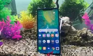Huawei Pastikan P30 dan Mate 20 Pro Bisa Unduh Android Q