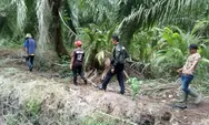 Kebakaran Hutan di Riau, Harimau Berkeliaran di Dekat Fasilitas Chevron