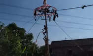 Lomba Panjat Pinang Akrabkan Warga Purwosari