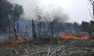 Ratusan Hektare Taman Nasional Danau Sentarum Hangus Terbakar
