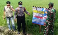 Gara-gara Jebakan Tikus Berlistrik, Bupati Sragen Diprotes Petani