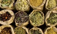 Obat Herbal Penguat Imunitas Pasien Covid-19 Siap Diuji Coba