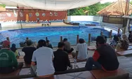 Batang Dolphin Center Kembali Dibuka, Pengunjung Dibatasi