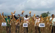 Batang Kekurangan Ribuan Ton Jagung, Bupati Ajak Petani Tingkatkan Produktivitas