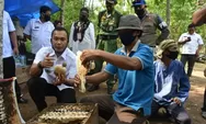 Bupati Wihaji Kembangkan Desa Wisata Kedawung Penghasil Madu Lebah Hutan